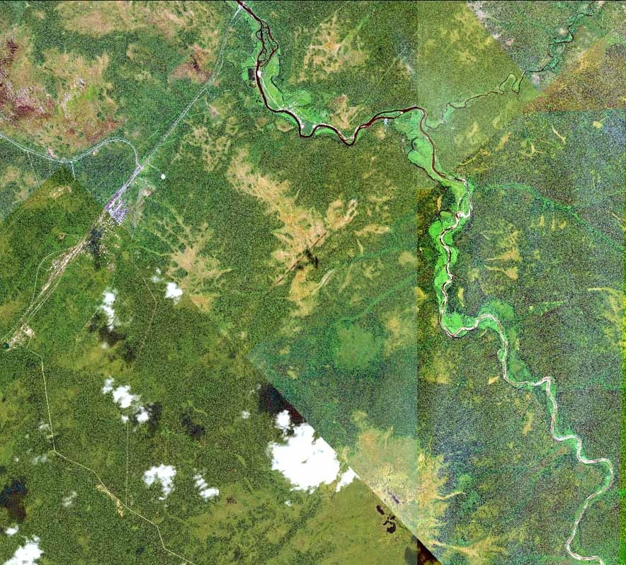 Сведения о границах лесоучастков станут публиковаться на портале Росреестра